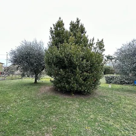 Appartamento Sagramose A