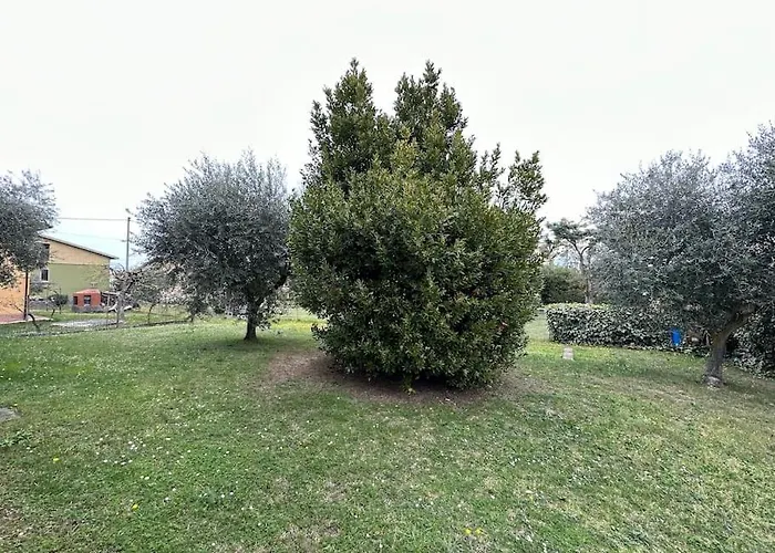 Apartament Sagramose A